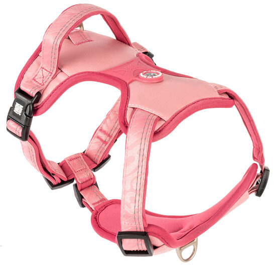 GOTCHA! Smart ID Sport IEMAUKTI - Matrix 2.0 Rose